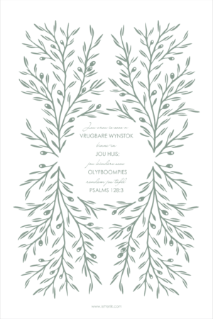 TEEDOEK : Olyfboompies