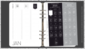 STICKER SHEET: 2025 Public Holidays (1 Page)